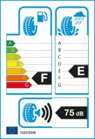 285/35R22 opona TRI-ACE SNOW WHITE II STUDDABLE XL 106H